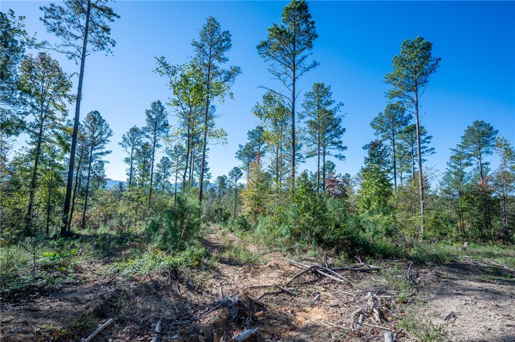 3867 Hwy 140 Ne Rydal Ga 30171 Northeast Rydal, GA 30171 - Photo 12 of 12