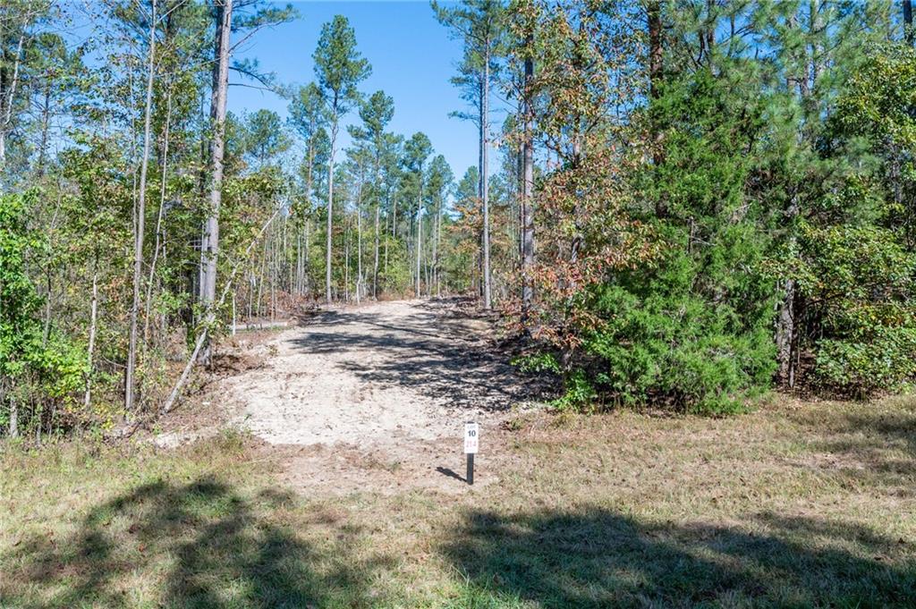 3867 Hwy 140 Ne Rydal Ga 30171 Northeast Rydal, GA 30171 - Photo 3 of 12