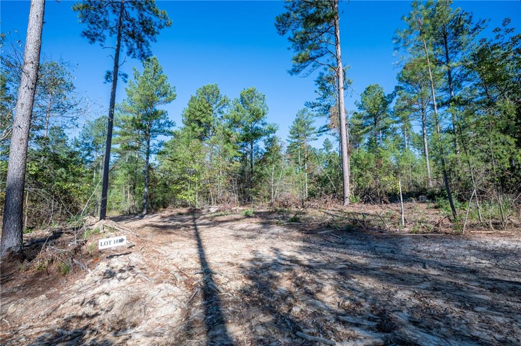 3867 Hwy 140 Ne Rydal Ga 30171 Northeast Rydal, GA 30171 - Photo 4 of 12