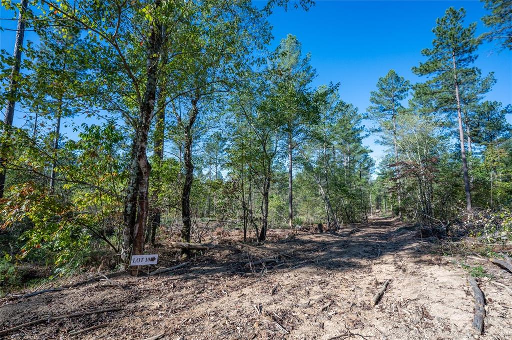 3867 Hwy 140 Ne Rydal Ga 30171 Northeast Rydal, GA 30171 - Photo 5 of 12