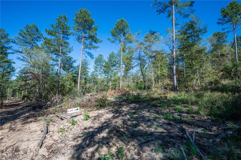 3867 Hwy 140 Ne Rydal Ga 30171 Northeast Rydal, GA 30171 - Photo 6 of 12