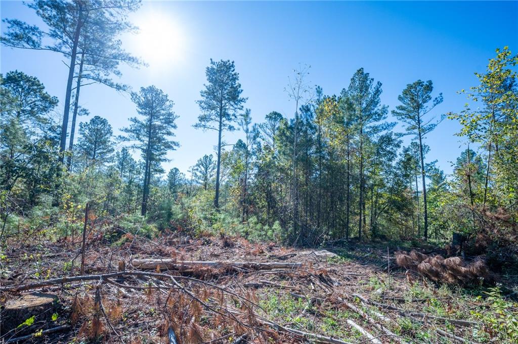 3867 Hwy 140 Ne Rydal Ga 30171 Northeast Rydal, GA 30171 - Photo 7 of 12