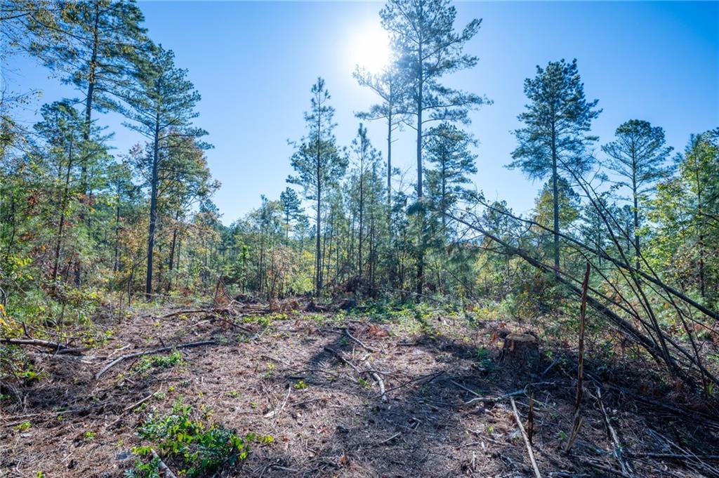 3867 Hwy 140 Ne Rydal Ga 30171 Northeast Rydal, GA 30171 - Photo 8 of 12