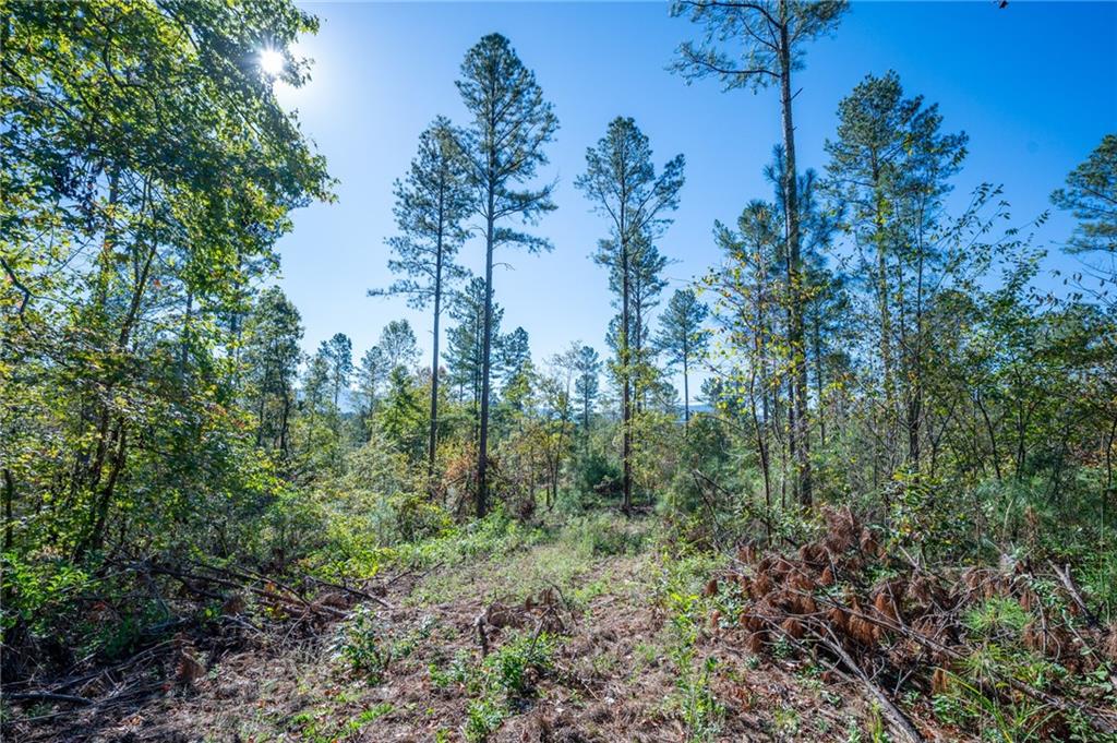 3867 Hwy 140 Ne Rydal Ga 30171 Northeast Rydal, GA 30171 - Photo 10 of 12