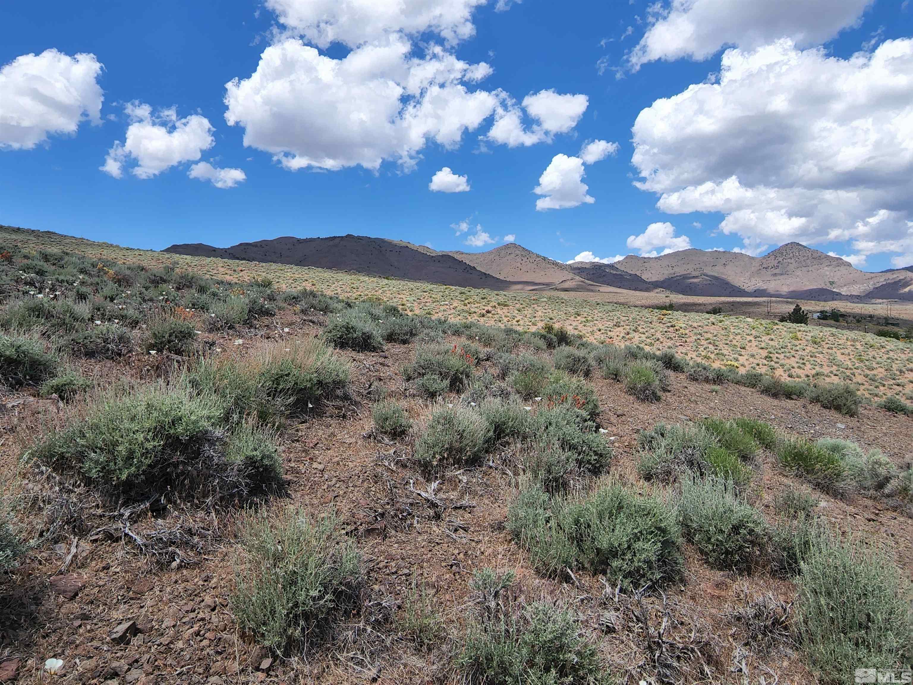 29 Stope Road Dayton, NV 89403 - Photo 6 of 21 Photo 6