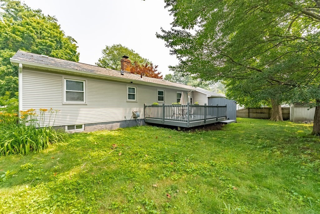 52 Embassy Road Springfield, MA 01119 - Photo 5 of 27 a view of backyard with potted plants and large tree