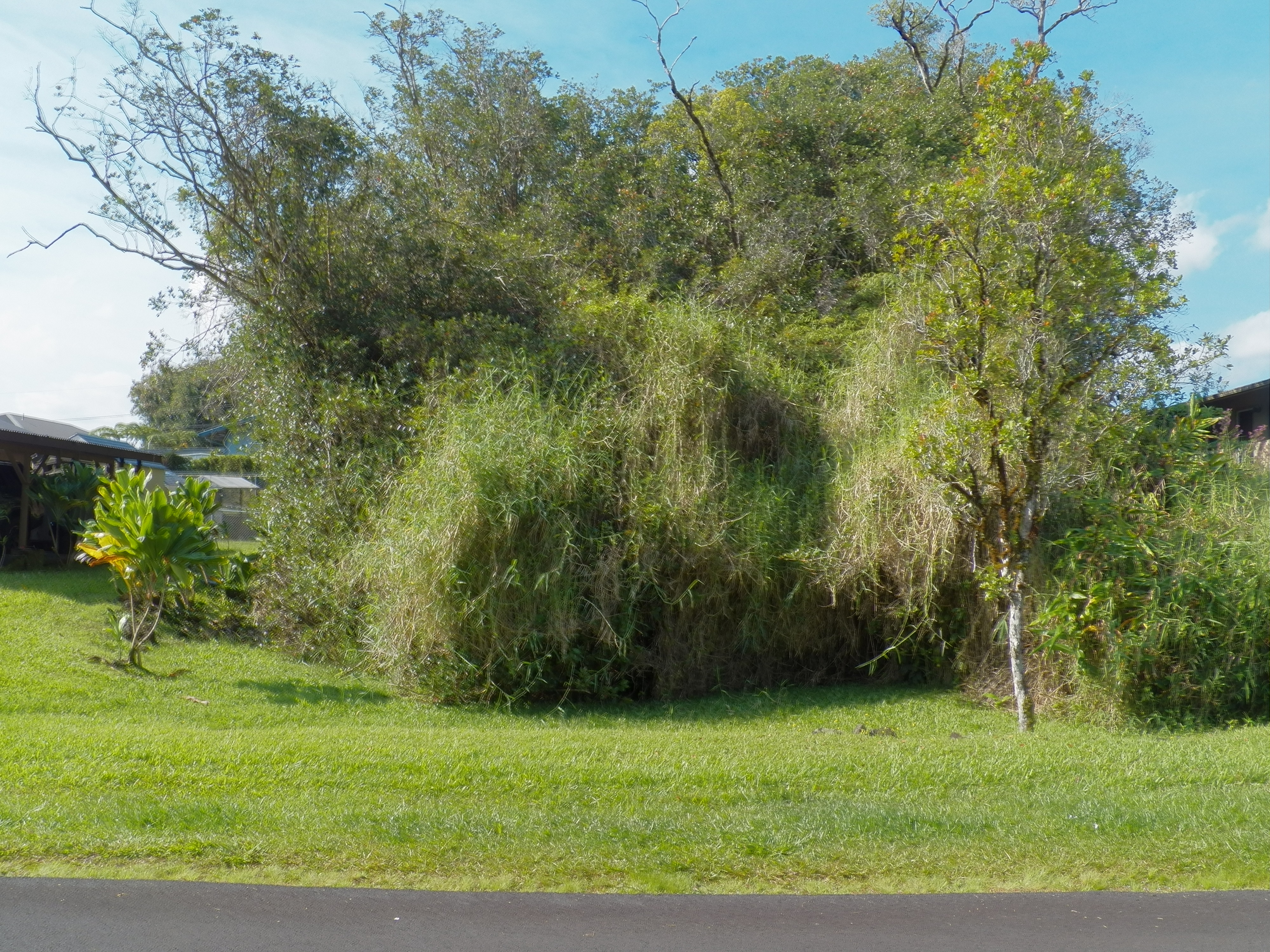 126 Kolika Road Mountain View, HI 96771 - Photo 1 of 6 a view of a park