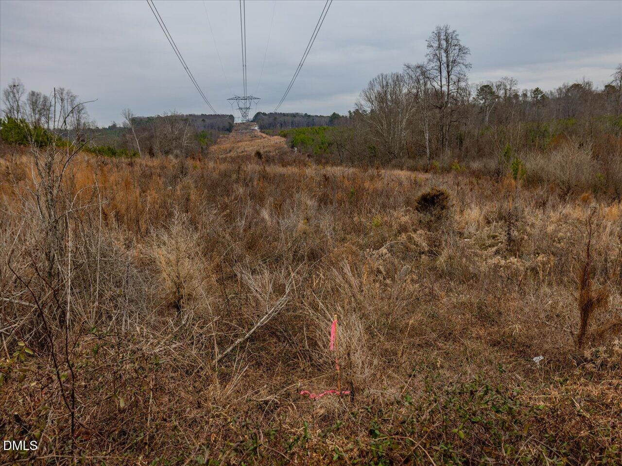 558 Jones Ferry Road Pittsboro, NC 27312 - Photo 13 of 19 a view of a dry yard with trees in the background