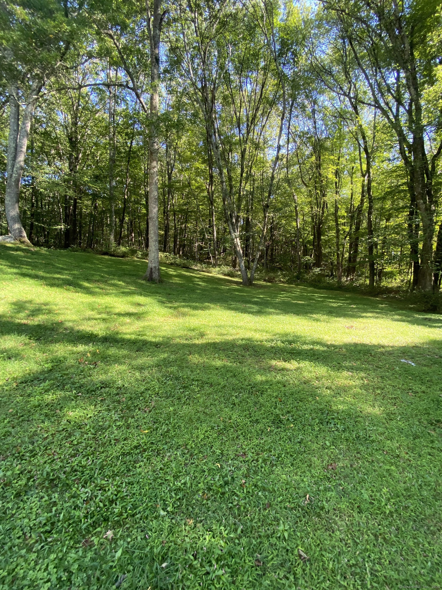 131 Indian Hill Road Wilton, CT 06897 - Photo 3 of 3