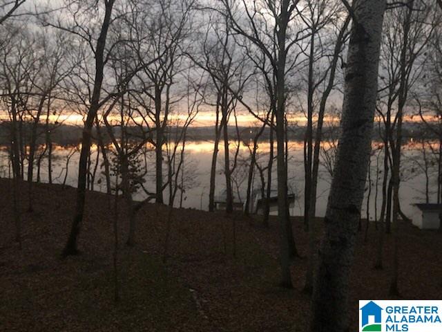 7115 Lister Ferry Road Rainbow City, AL 35906 - Photo 35 of 35