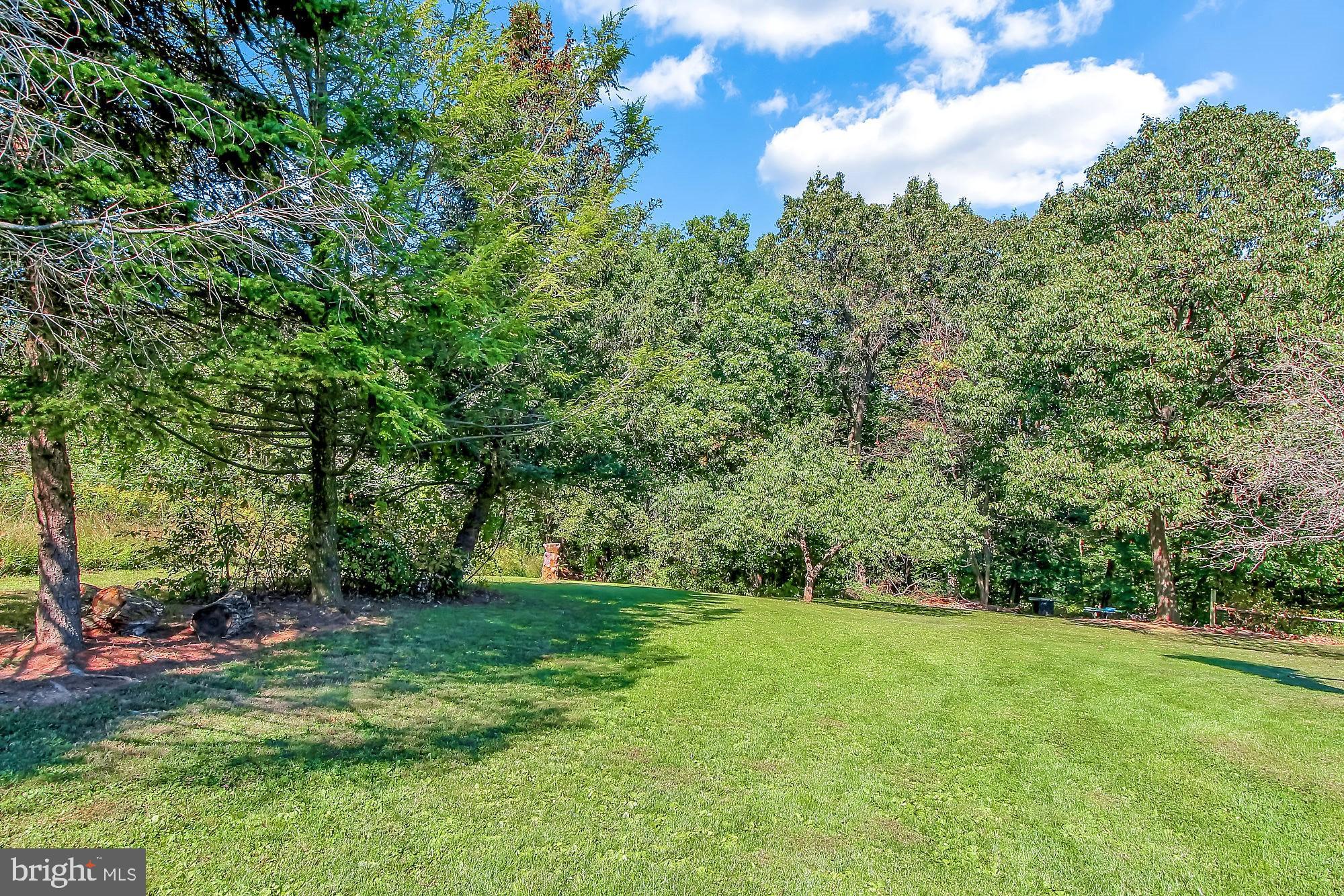 751 Brownsville Road Reading, PA 19608 - Photo 27 of 31 Back Yard Area