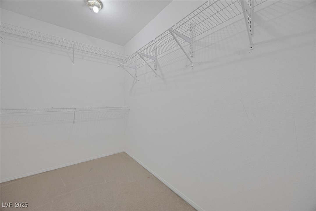 5333 Rim View Lane Las Vegas, NV 89130 - Photo 33 of 55 Walk in closet in primary bedroom featuring light colored carpet