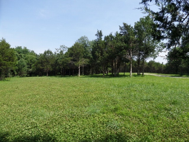 2 Nichols Ridge Fulton, MO 65251 - Photo 5 of 6