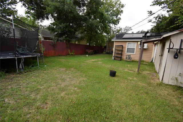 a view of a backyard with plants and large tree