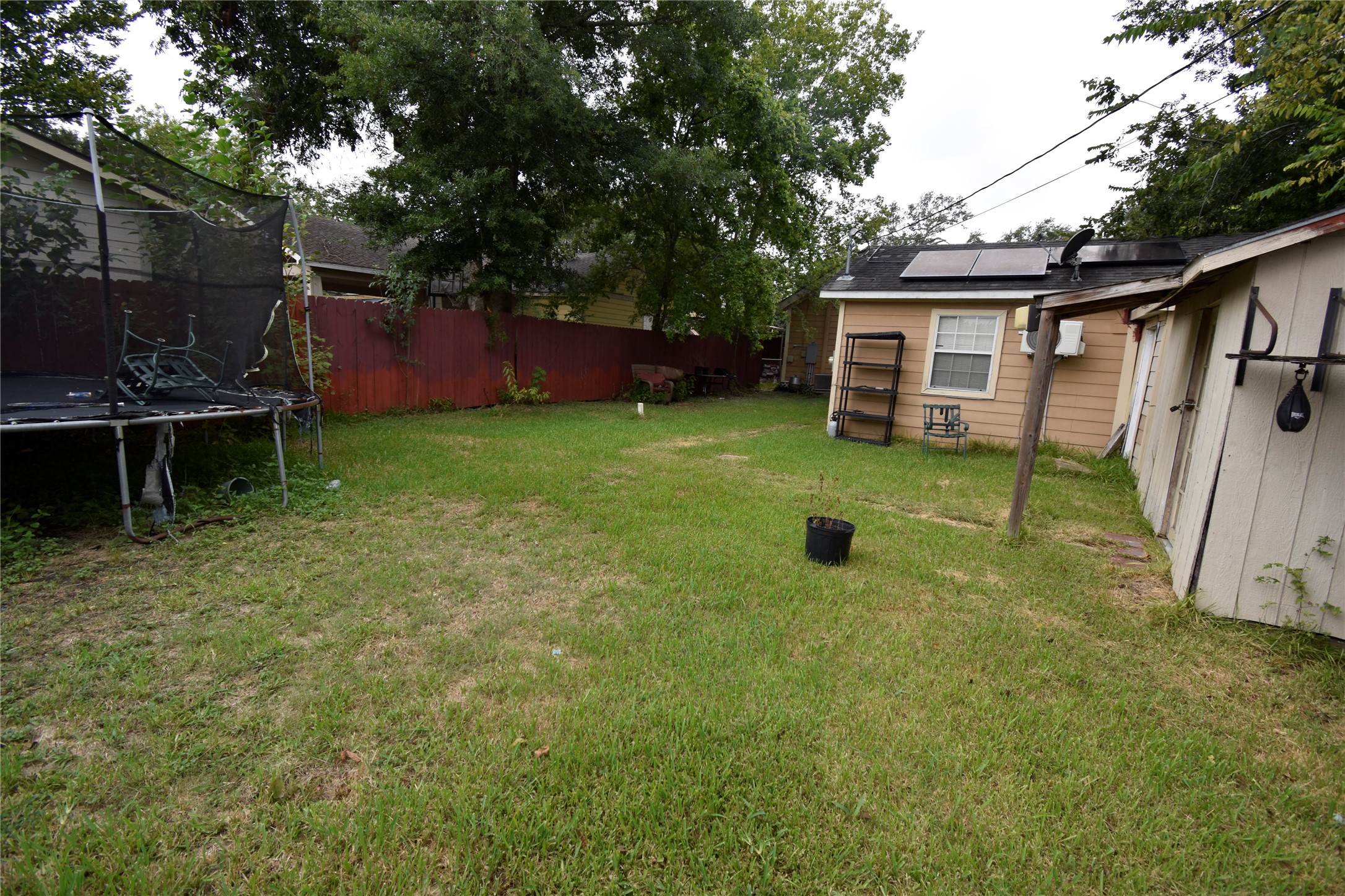 819 Center Street Pasadena, TX 77506 - Photo 9 of 11 a view of a backyard with plants and large tree