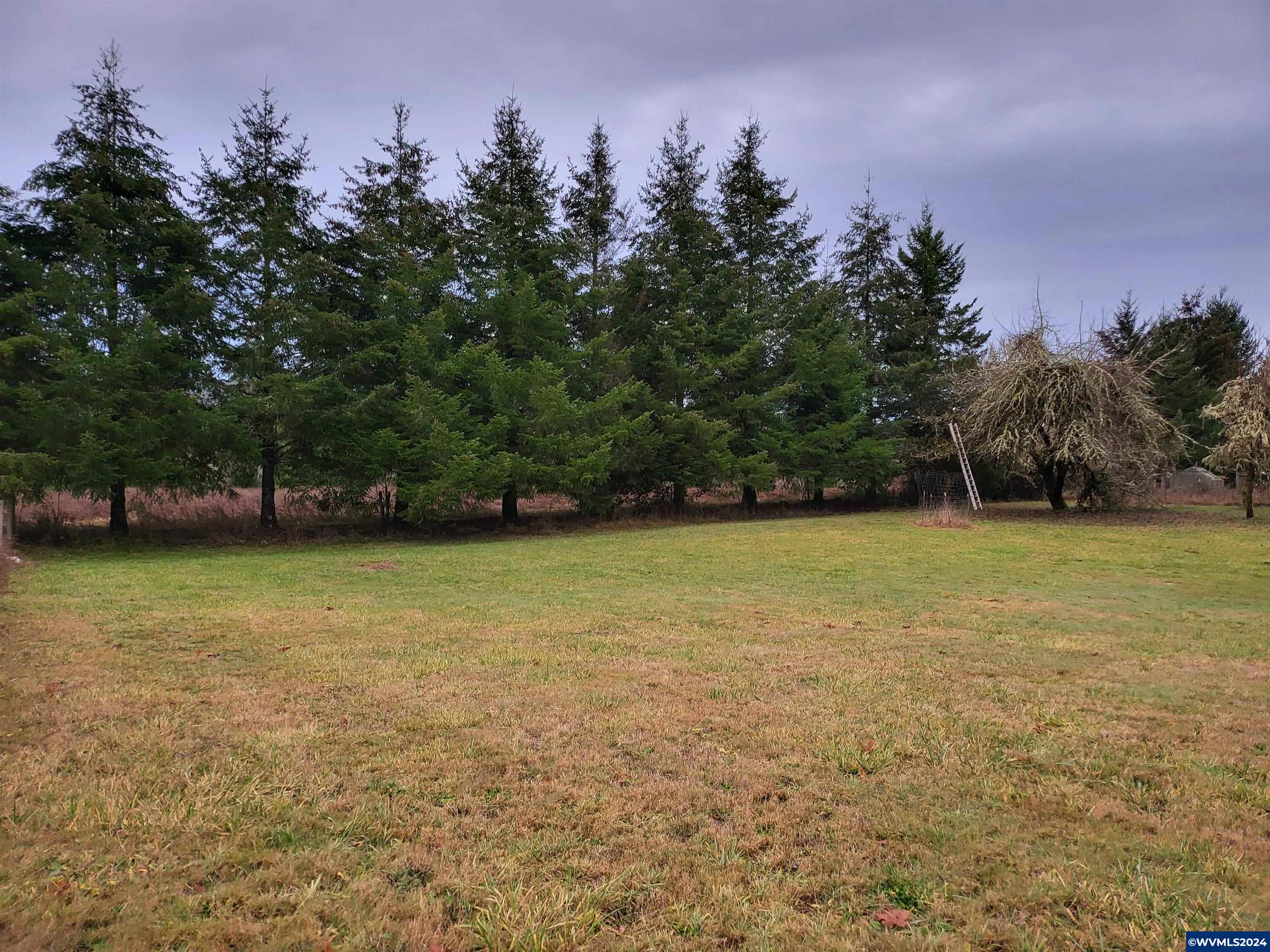 39241 Luckiamute Road Philomath, OR 97370 - Photo 24 of 36 Gallery Image 24