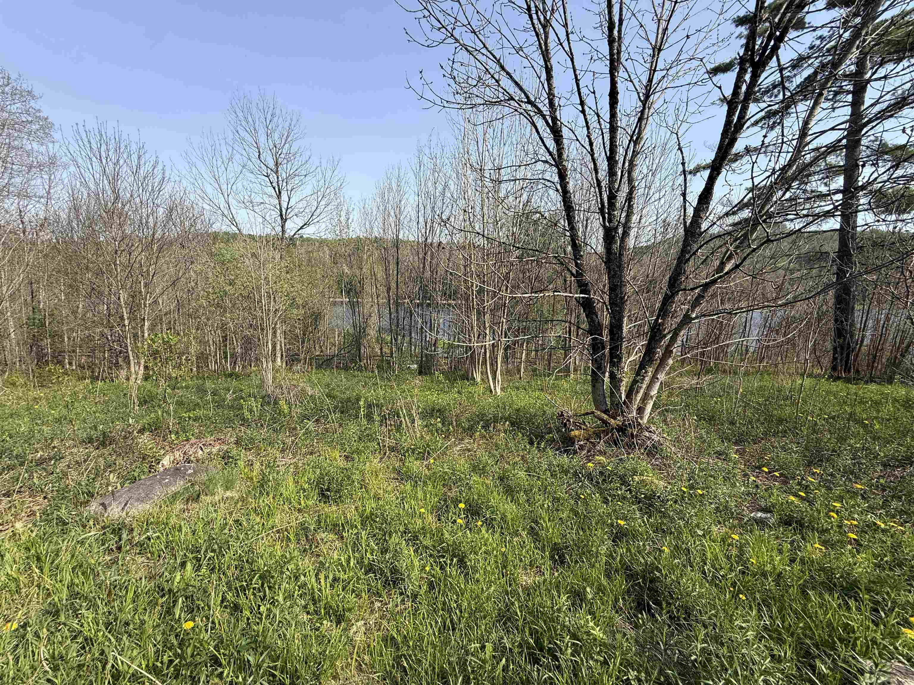 2153 River Road Lunenburg, VT 05904 - Photo 3 of 13 Gallery Image 3