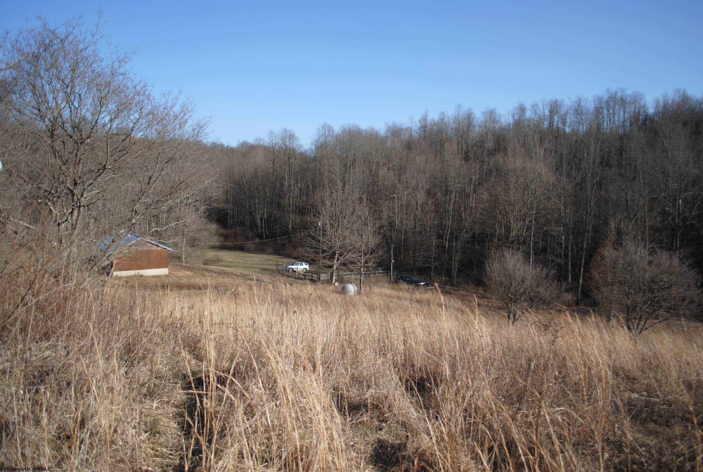 2201 Wash Run Road Philippi, WV 26416 - Photo 18 of 22 Gallery Image 18