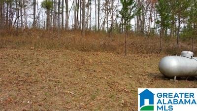 578 Browns Valley Road Pell City, AL 35128 - Photo 23 of 25