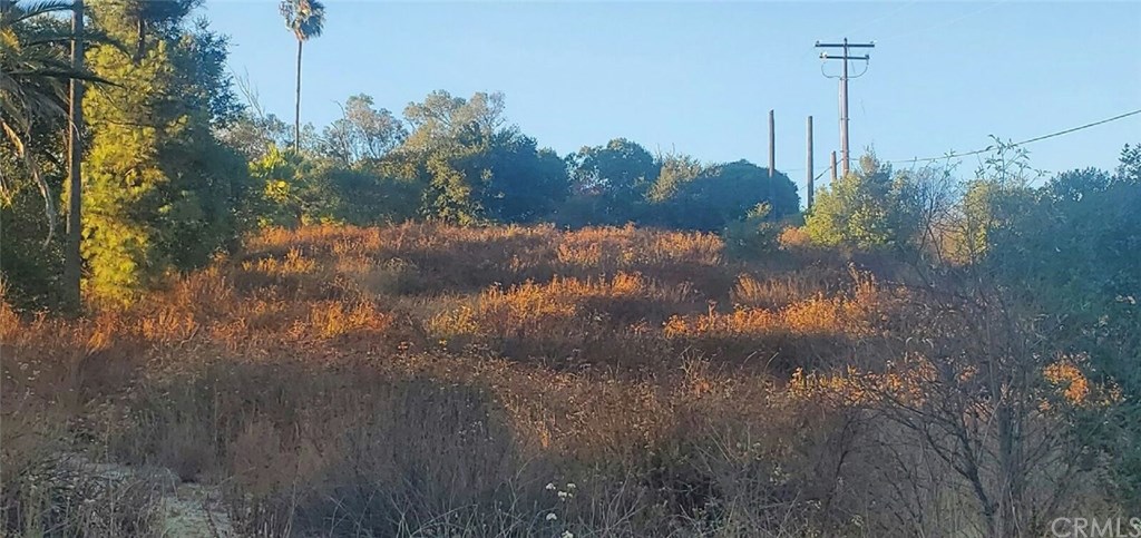 31444 Valley Center Road Valley Center, CA 92082 - Photo 5 of 5
