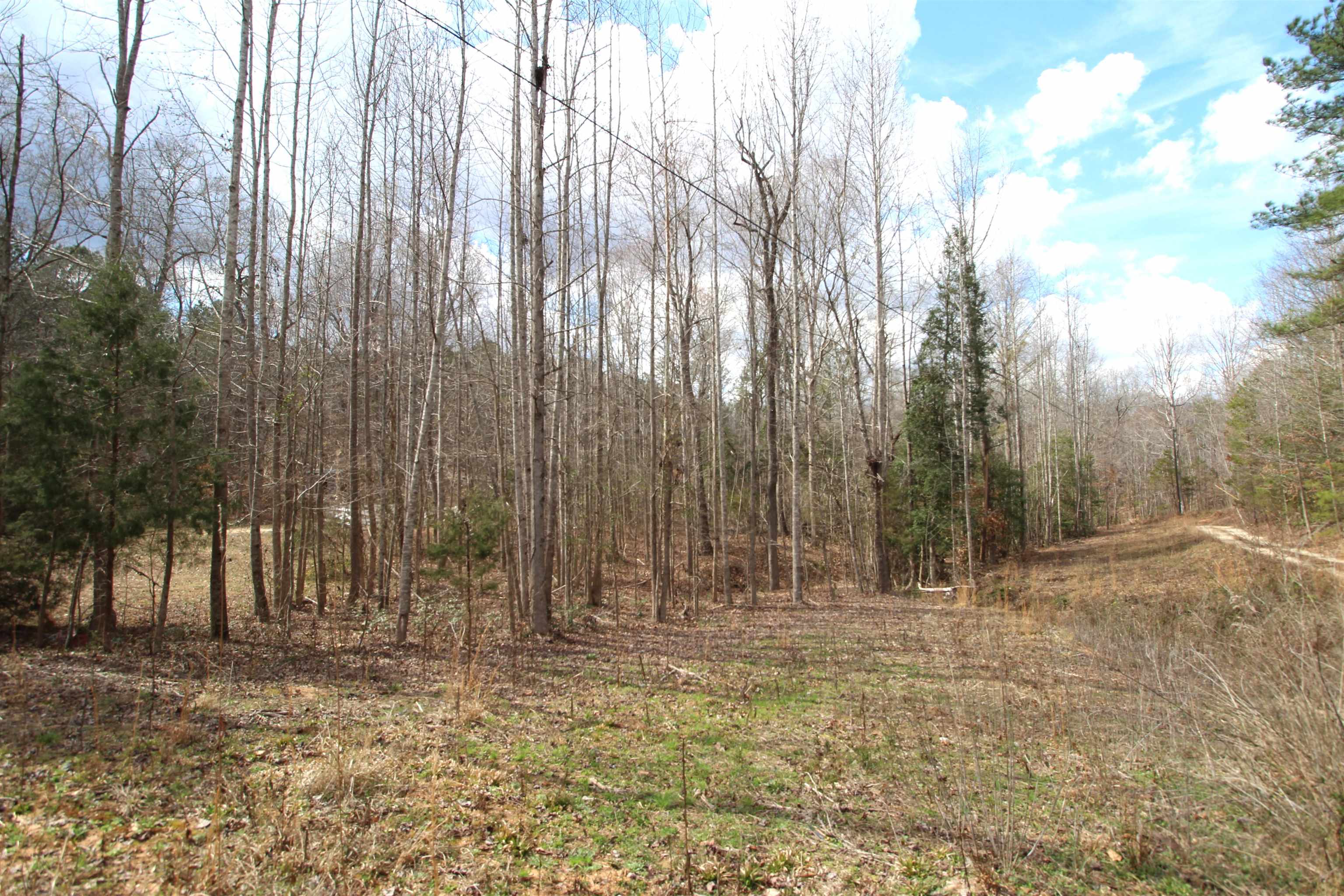 0 Kilgore Bridge Road Woodruff, SC 29388 - Photo 2 of 5
