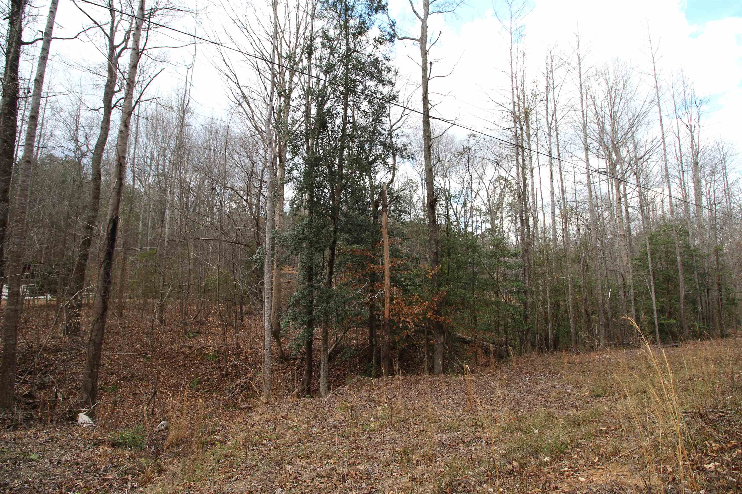 0 Kilgore Bridge Road Woodruff, SC 29388 - Photo 3 of 5