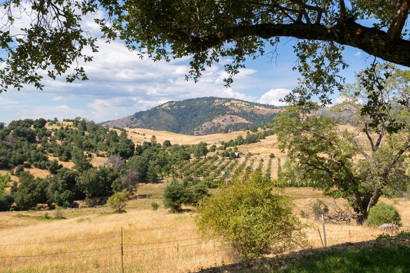 2466 Wynola Road Julian, CA 92036 - Photo 12 of 25 Gallery Image 12