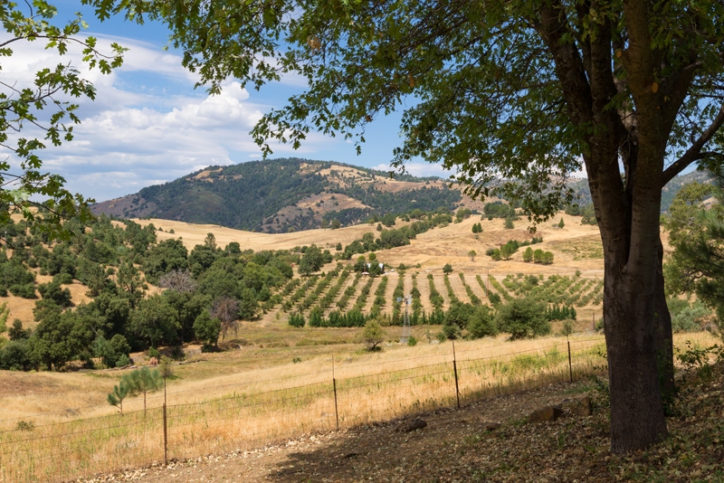 2466 Wynola Road Julian, CA 92036 - Photo 3 of 25 Just one of the many panoramic views, who would tire of this everyday.