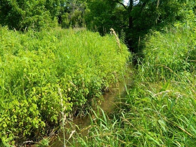 Lot 3 Horizon Monroe, WI 53566 - Photo 13 of 18