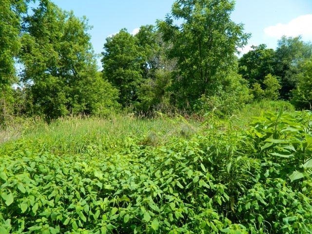 Lot 3 Horizon Monroe, WI 53566 - Photo 14 of 18