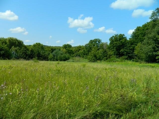 Lot 3 Horizon Monroe, WI 53566 - Photo 5 of 18