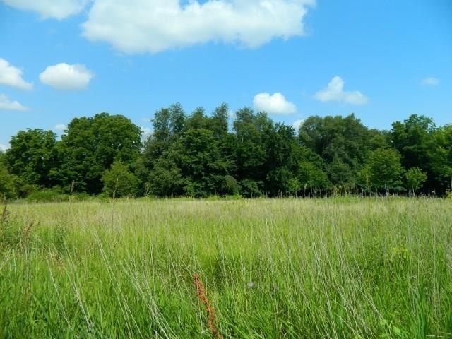 Lot 3 Horizon Monroe, WI 53566 - Photo 7 of 18