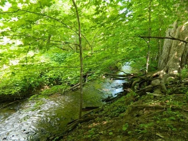 $94,900 | Lot 3 Horizon, Monroe, WI 53566