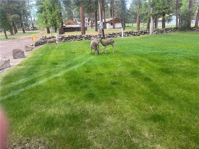 $91,000 | 687-790 Chinquepin Way, Susanville, CA 96130