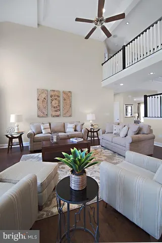 a living room with furniture potted plant and a rug