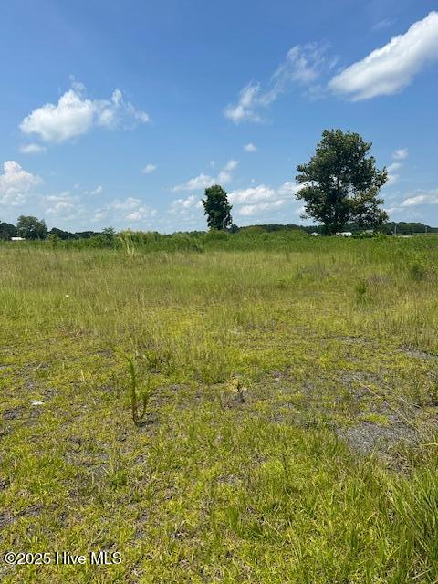 93 Williams Road Chadbourn, NC 28431 - Photo 4 of 10 IMG_4370