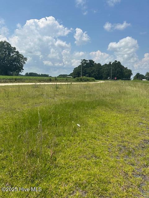 93 Williams Road Chadbourn, NC 28431 - Photo 6 of 10 IMG_4372