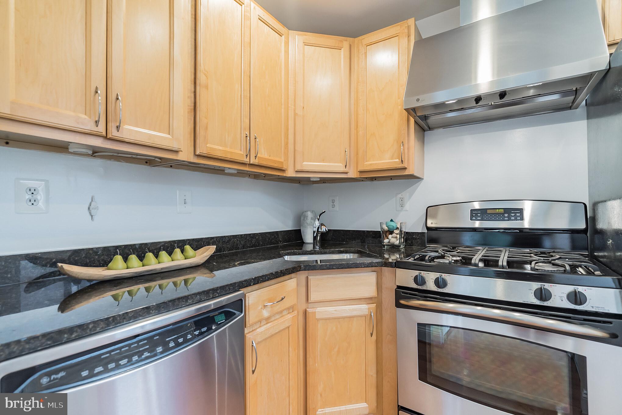 Stainless Appliances & Granite Counters