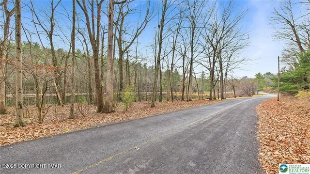 a view of road with trees