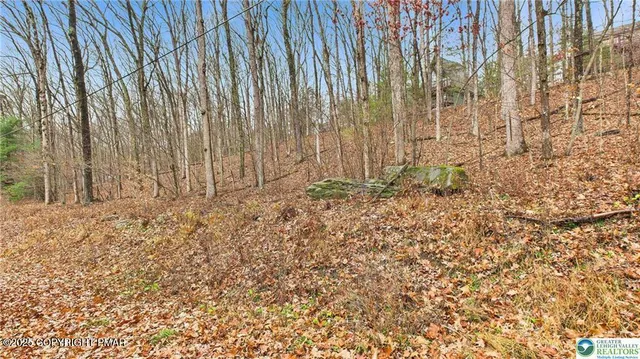 a view of wooden door