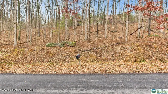 a view of a pathway with a yard
