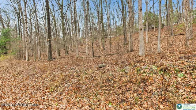 a bathroom with a shower curtain