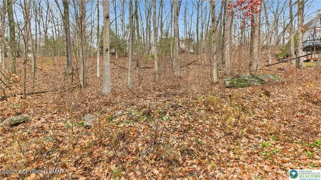 a view of a backyard with trees