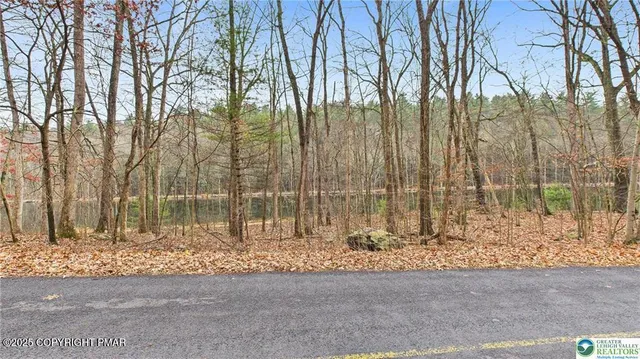a view of house with a yard