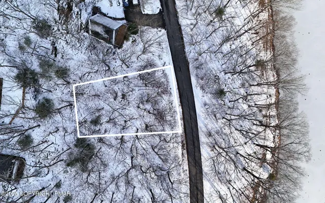 a water heater and a trees