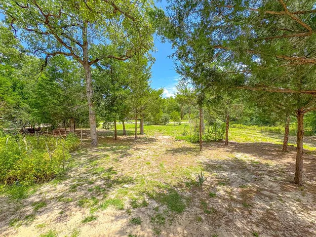 a view of a yard with a tree