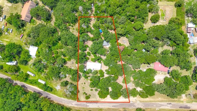 a view of flowers in a garden