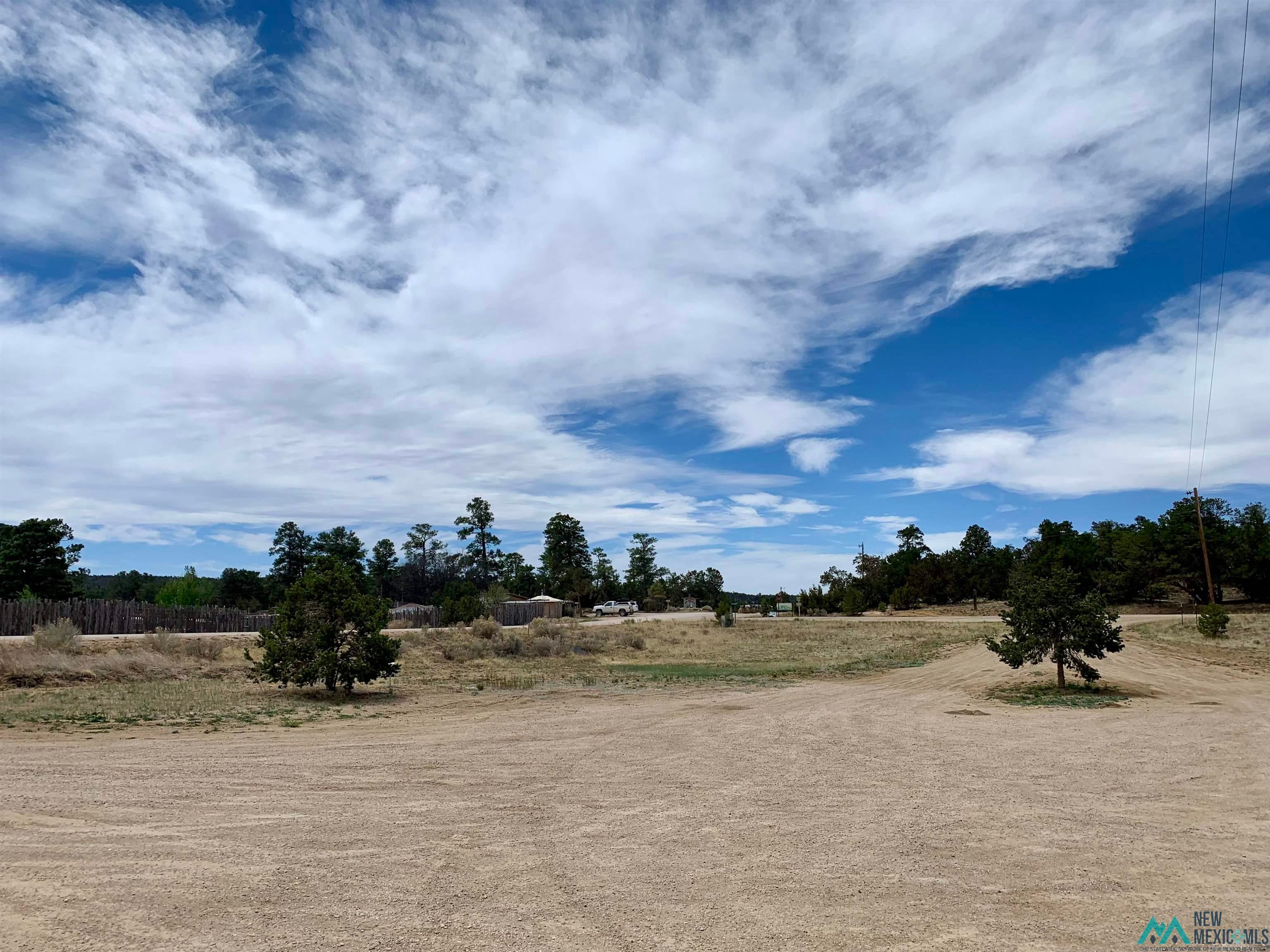 371 Candy Kitchen Road Candy Kitchen, NM 87357 - Photo 4 of 49 Expansive undeveloped land with a natural, varied terrain