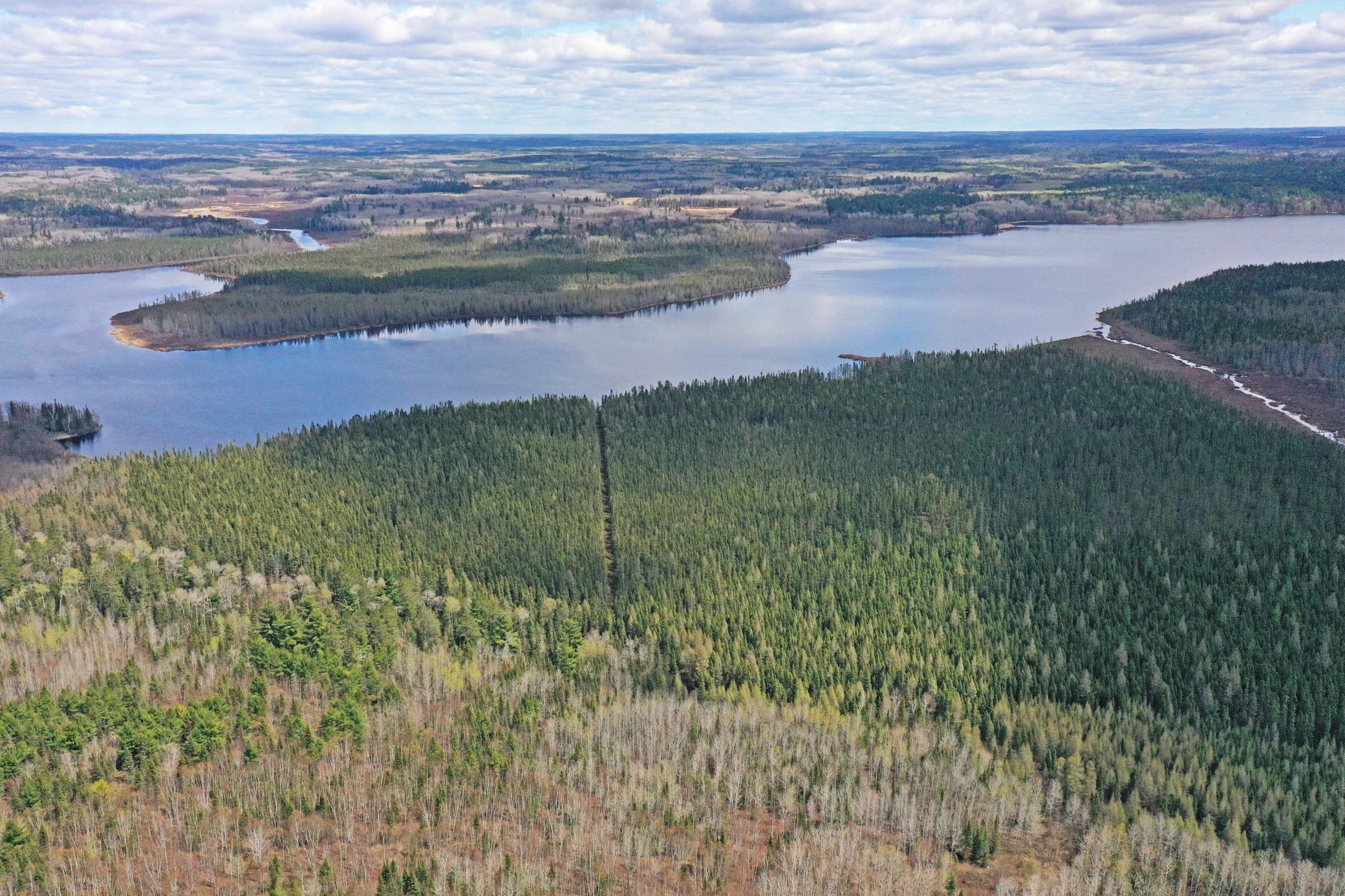 4268 Crane Lake Road Orr, MN 55771 - Photo 10 of 25