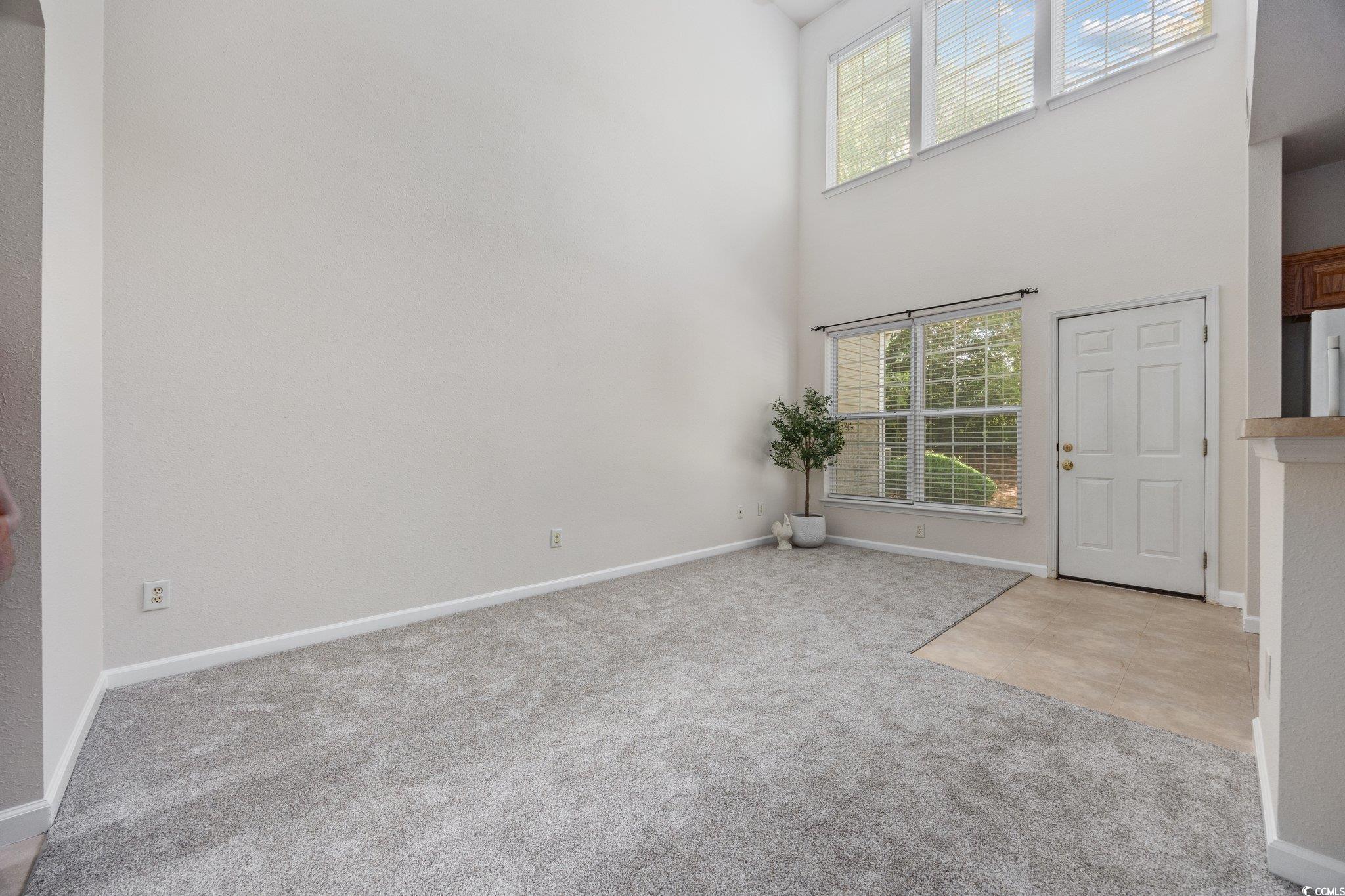 155 Chenoa Drive, Unit E Murrells Inlet, SC 29576 - Photo 5 of 34 Entryway featuring plenty of natural light, carpet, and a towering ceiling